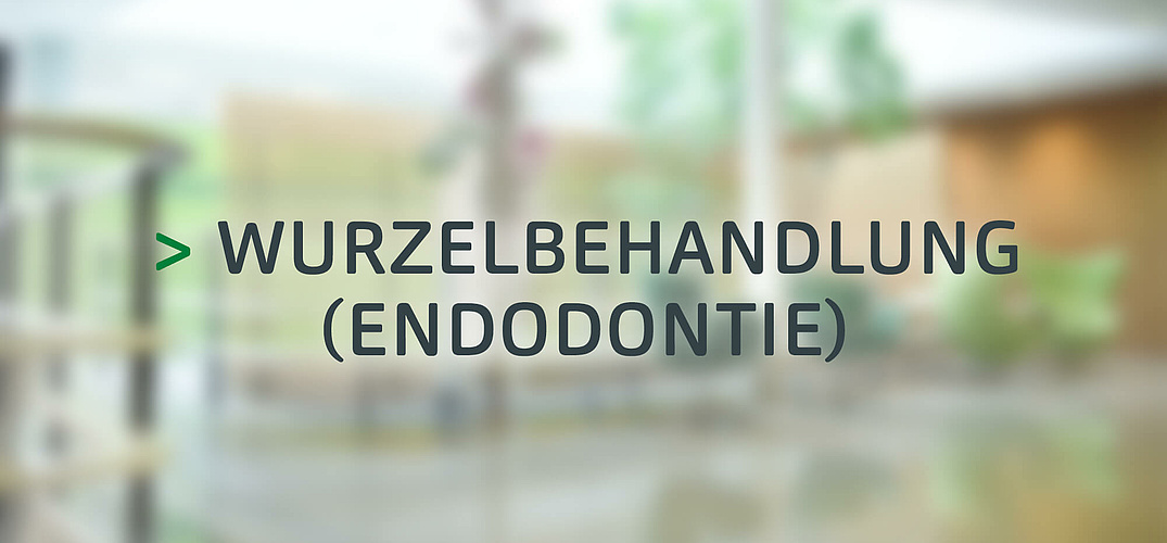 Wurzelbehanldung Endodontie