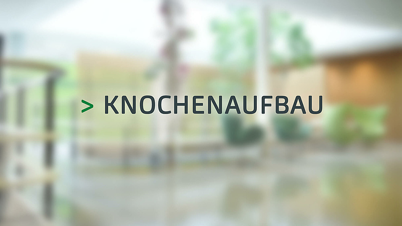 Knochen­aufbau