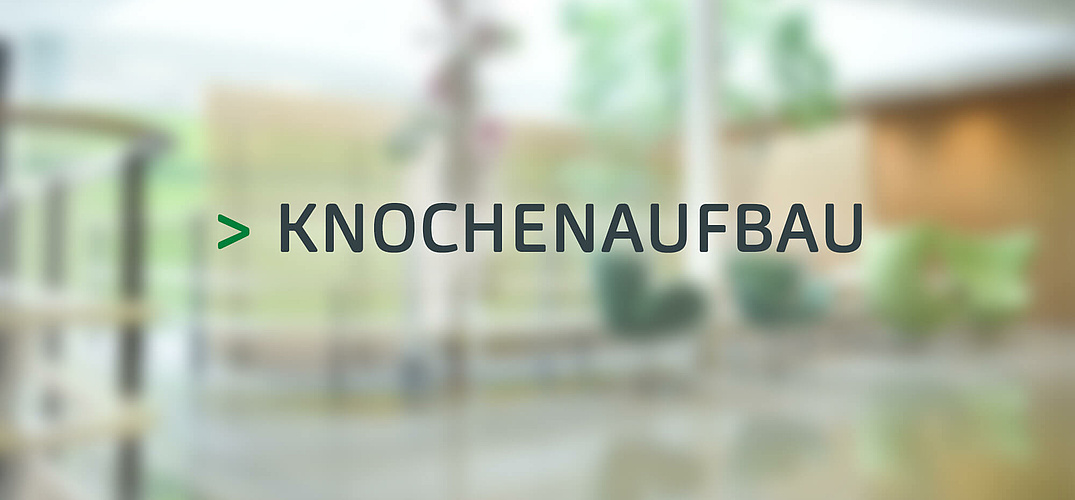 Knochenaufbau