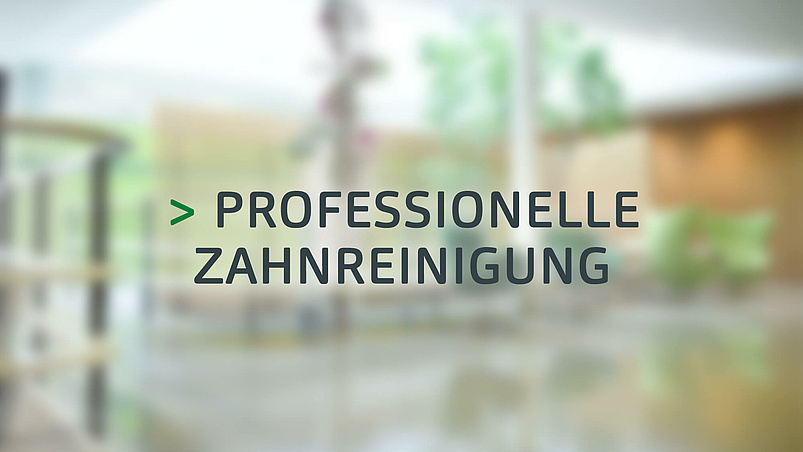 Professio­nelle Zahn­reinigung